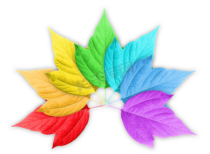 绿色渐变叶子摄影照片_五颜六色的彩虹渐变与一组叶子