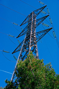 钢塔及其电缆