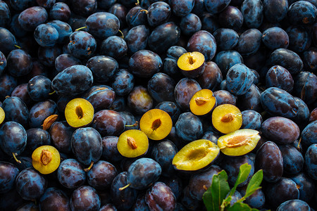 新鲜蓝李的纹理背景作为水果图像