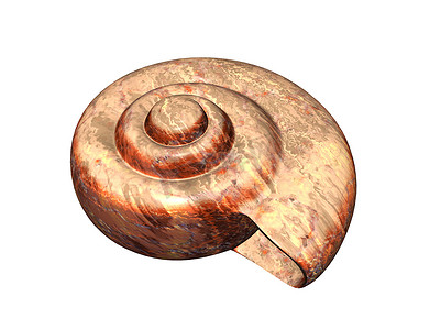 蜗牛壳摄影照片_一只蜗牛的蜗牛屋