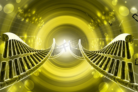 扭曲的铬 DNA 链模型