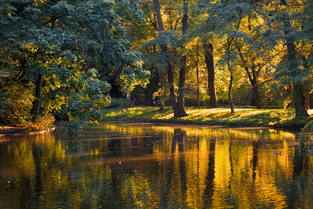 华沙摄影照片_华沙瓦津基公园的金色池塘
