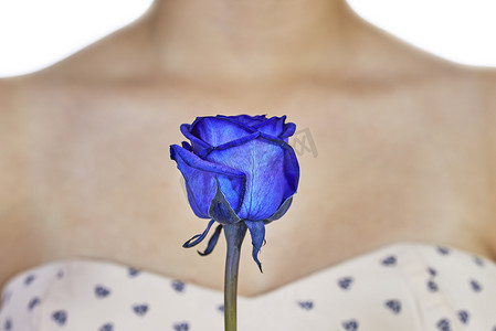 蓝玫瑰和前胸的女人