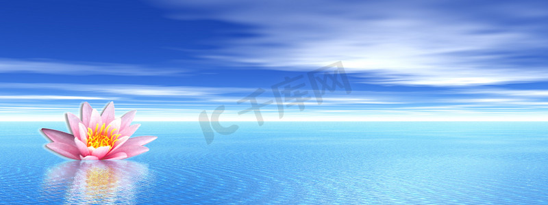 蓝色海洋梦幻摄影照片_蓝色海洋中的百合花