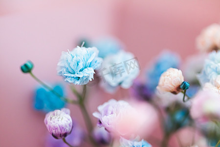 花园中的花朵、花卉之美和植物学背景，用于婚礼请柬和贺卡、自然和环境概念