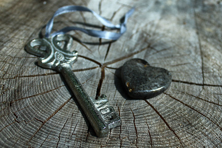 爱情钥匙摄影照片_风化树干上的爱情钥匙和石头心