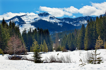 gold摄影照片_Gold Creek Mount Hyak 春雪 Snoqualme Pass 华盛顿