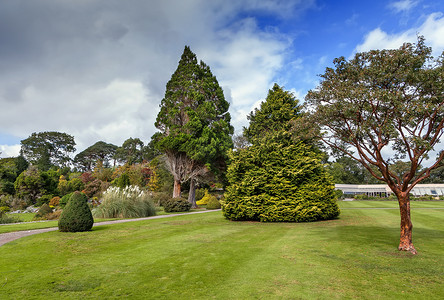 克罗克摄影照片_马克罗斯花园，爱尔兰