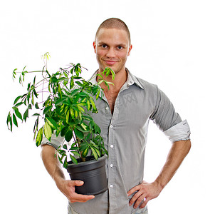 男人拿着一盆植物。