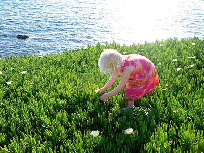 斯堪的纳维亚生活方式——海边采花的女孩