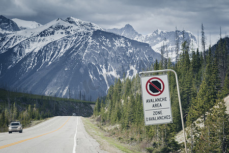 加拿大贾斯珀国家公园的道路