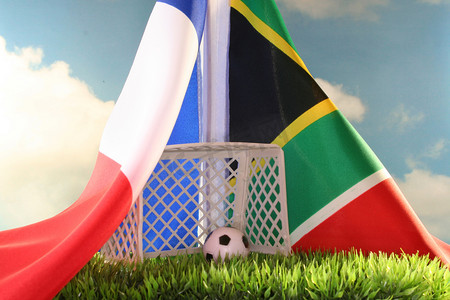 2010 年世界杯法国 vs 南非