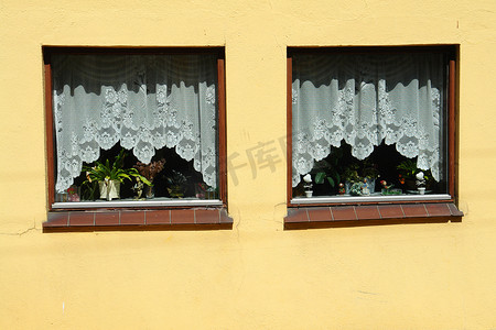 欧式墙摄影照片_带蕾丝窗帘的古典欧式窗户