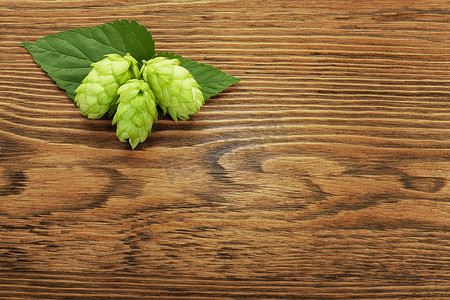 在一张木桌上的啤酒花植物
