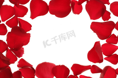 “红色玫瑰花瓣边框，白色复制空间”