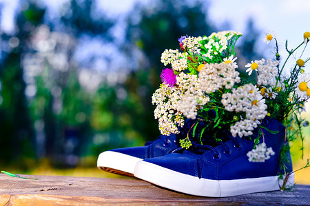 冬季男鞋女鞋摄影照片_男鞋或女鞋中以洋甘菊为主的野花花束