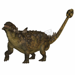 Euoplocephalus 在白色