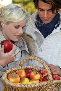 摘水果的人摄影照片_摘苹果的夫妇