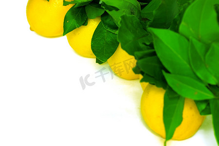 一束多汁的黄色柠檬