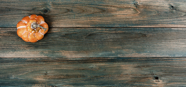 在万圣节或感恩节假期背景下，褪色的蓝色木板上陈年的单个南瓜