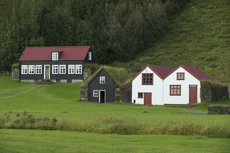 房子场景摄影照片_有草屋顶的传统 iclandic 房子。