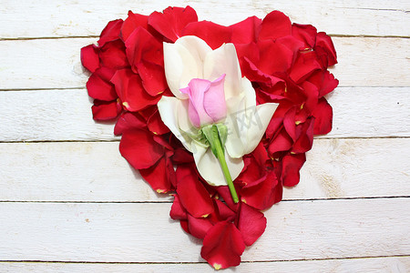 情人节爱心玫瑰背景摄影照片_玫瑰花瓣的心