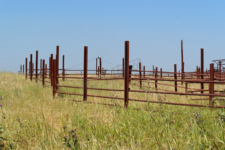 荷兰牛栏logo摄影照片_明亮的夏日空牛圈的生锈栅栏