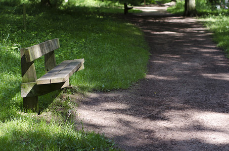 曲折的小路摄影照片_树木繁茂的公园里空荡荡的公园长椅