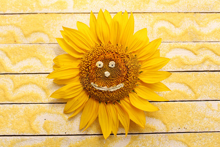 黄沙白板上有脸的向日葵