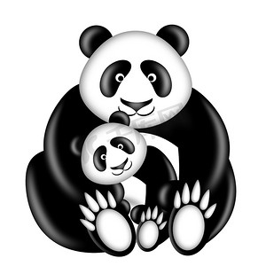 宝宝熊猫摄影照片_熊猫妈妈和宝宝