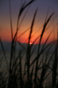 沙滩上的夕阳草海