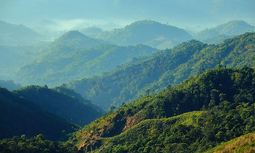 清晨的青山，阳光明媚。