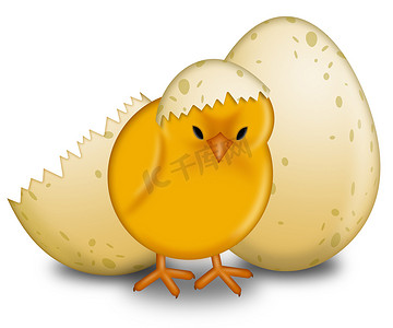 复活节小鸡孵蛋