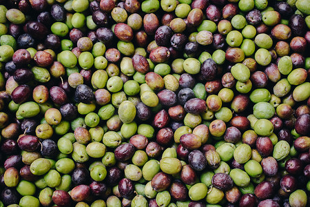 新采收的橄榄作为市场上的保健食品