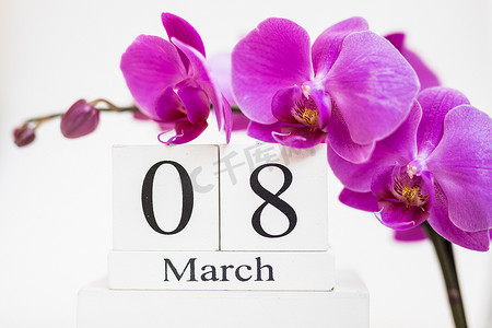三八日历摄影照片_3 月 8 日国际妇女节日期白色块日历，装饰着兰花