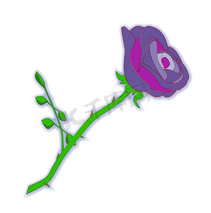 卡通紫色孤立玫瑰