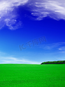 夏日风景——蓝天绿野