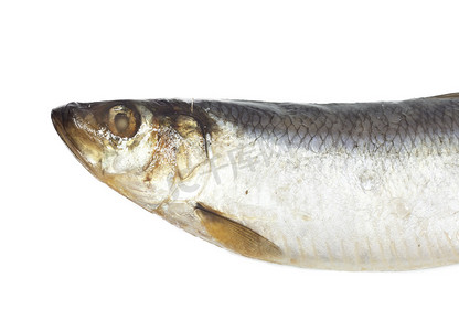 沙窝生焗鱼头肉摄影照片_白色背景中的咸鲱鱼头