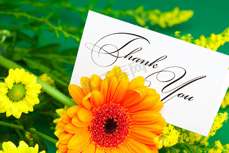 笔迹摄影照片_“黄色雏菊、非洲菊和在绿色背景上签名的感谢卡”