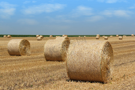 稻草包农业产业