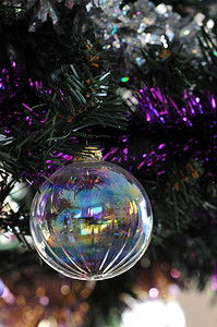塑料松树中的透明圣诞球