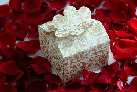 玫瑰花瓣上的情人节礼物珍珠
