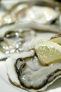oysters摄影照片_牡蛎
