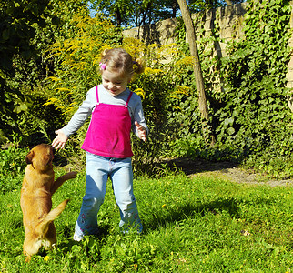 快乐的小女孩和狗一起玩