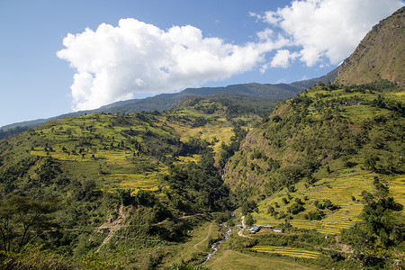 尼泊尔安纳普尔纳环线的绿色山景