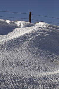 风景飘雪摄影照片_冬天飘雪