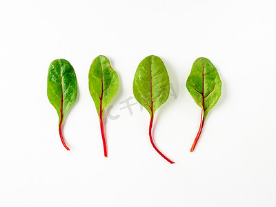 一组绿色甜菜叶或孤立的甜菜叶