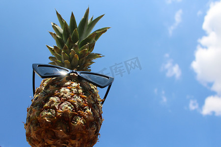 搞笑水果摄影照片_戴着墨镜的搞笑菠萝