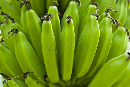 青香蕉摄影照片_青香蕉
