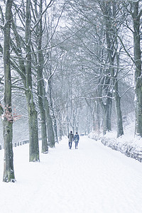 在德国亚琛 Lousberg 的公园里，情侣们在雪地里散步